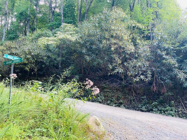 LOT86 Granny Squirrel Dr, Andrews, NC 28901