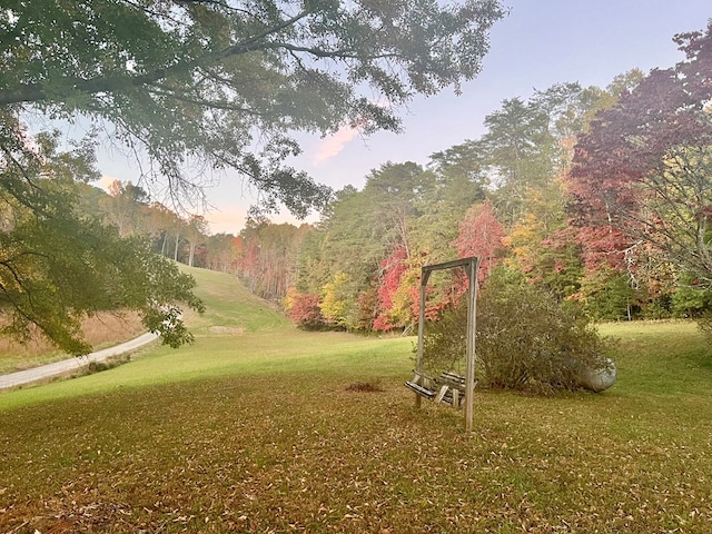 136 Ashe Knob Dr, Hayesville, NC 28904 - view of green lawn
