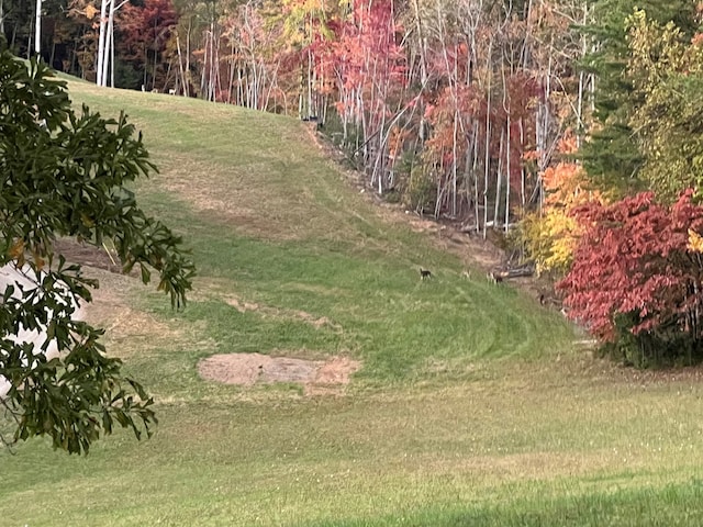 136 Ashe Knob Dr, Hayesville, NC 28904 - view of yard
