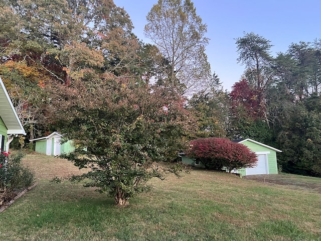 view of yard featuring a shed