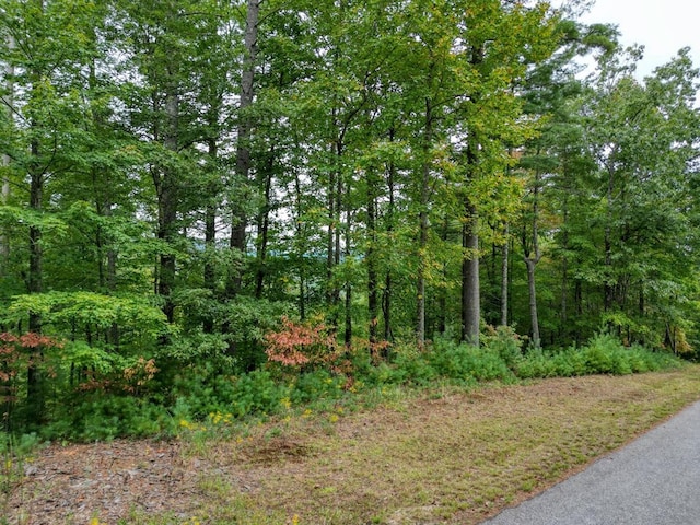 Listing photo 2 for LOT47 Coopers Creek Holw, Suches GA 30572