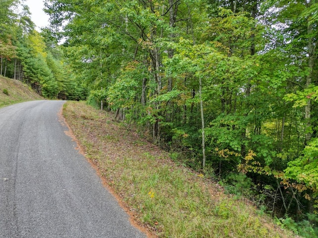 Listing photo 3 for LOT47 Coopers Creek Holw, Suches GA 30572