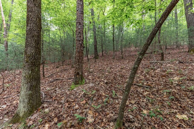 LOT17 Lower Gap Rd, Sautee Nacoochee, GA 30571