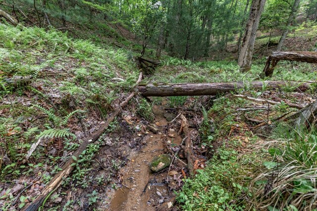 LOT17 Lower Gap Rd, Sautee Nacoochee, GA 30571