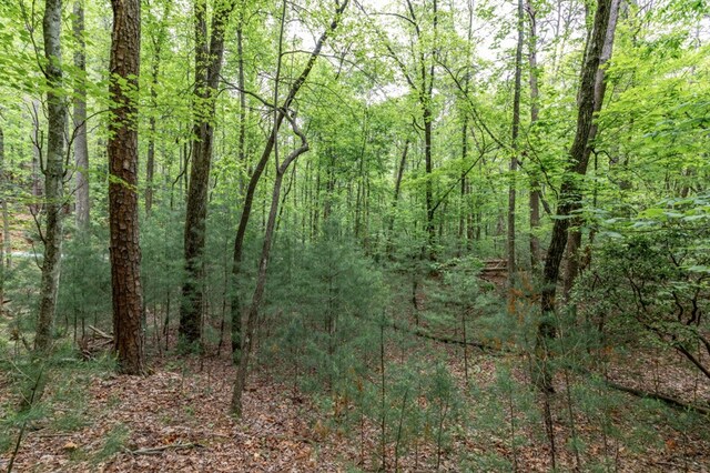 LOT17 Lower Gap Rd, Sautee Nacoochee, GA 30571