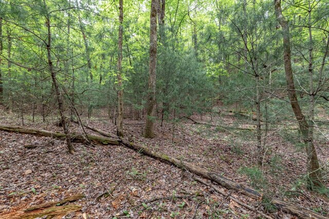 LOT17 Lower Gap Rd, Sautee Nacoochee, GA 30571