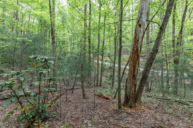 LOT17 Lower Gap Rd, Sautee Nacoochee, GA 30571