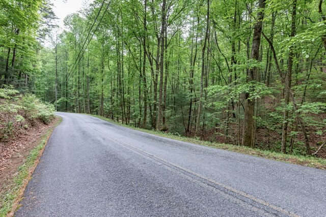 LOT17 Lower Gap Rd, Sautee Nacoochee, GA 30571