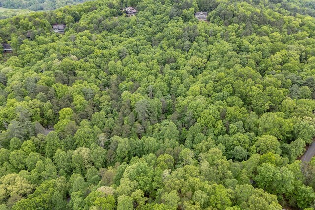 LOT17 Lower Gap Rd, Sautee Nacoochee, GA 30571