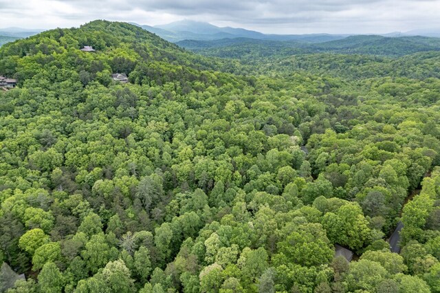 LOT17 Lower Gap Rd, Sautee Nacoochee, GA 30571