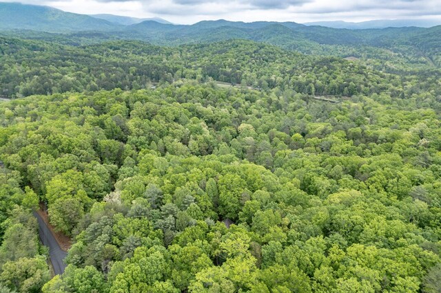 LOT17 Lower Gap Rd, Sautee Nacoochee, GA 30571