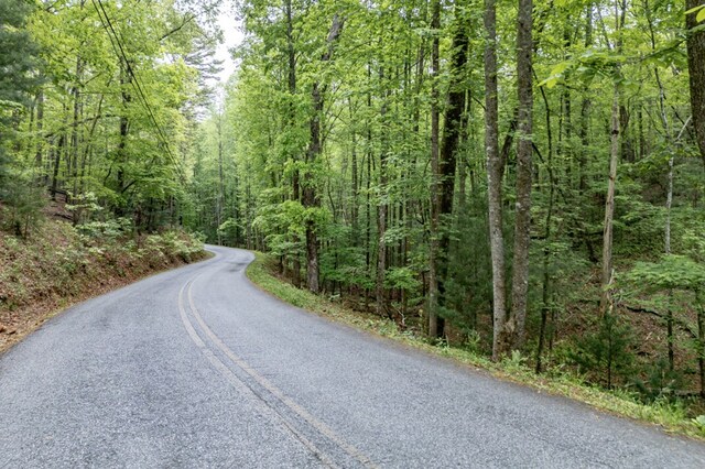 LOT17 Lower Gap Rd, Sautee Nacoochee, GA 30571
