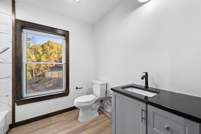 bathroom featuring vanity, wood-type flooring, and toilet