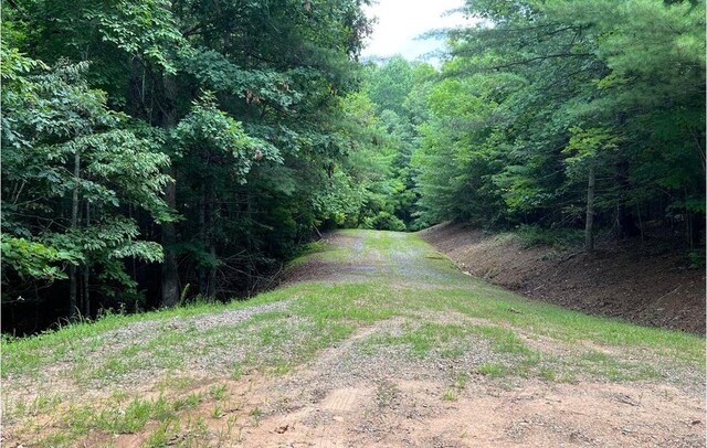 0 Maple Grove Rd, Morganton, GA 30560
