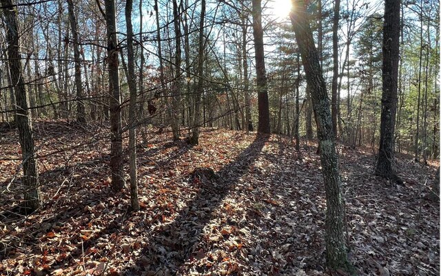 0 Maple Grove Rd, Morganton, GA 30560