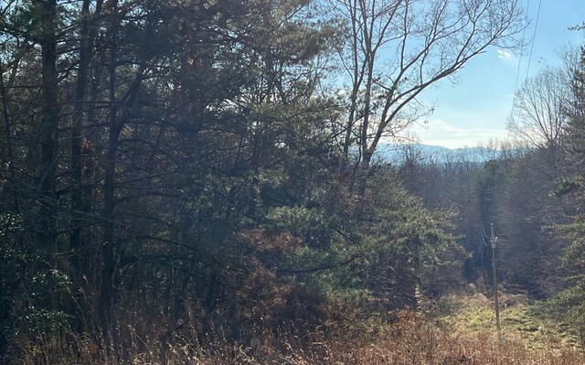 0 Maple Grove Rd, Morganton, GA 30560