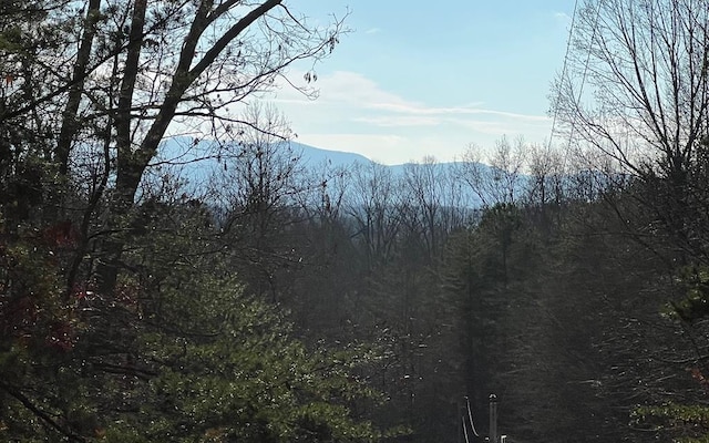 0 Maple Grove Rd, Morganton, GA 30560