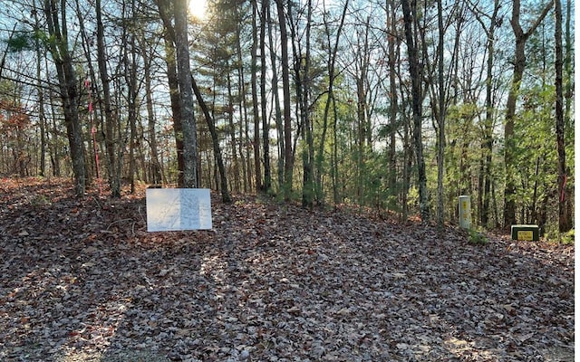 0 Maple Grove Rd, Morganton, GA 30560