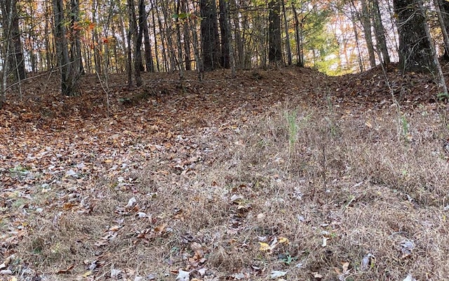 0 Maple Grove Rd, Morganton, GA 30560