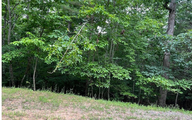 0 Maple Grove Rd, Morganton, GA 30560