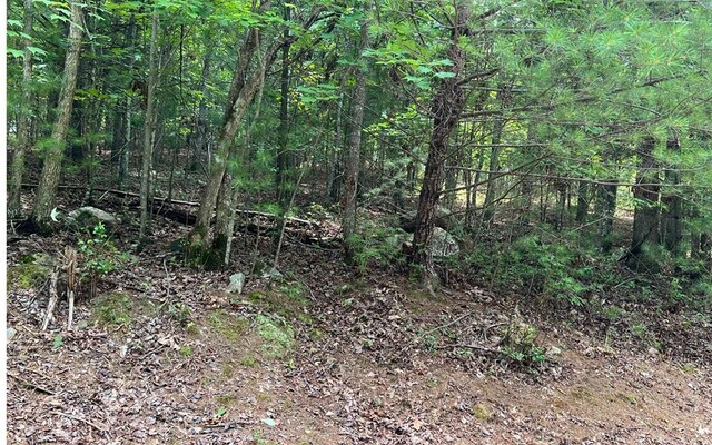 0 Maple Grove Rd, Morganton, GA 30560