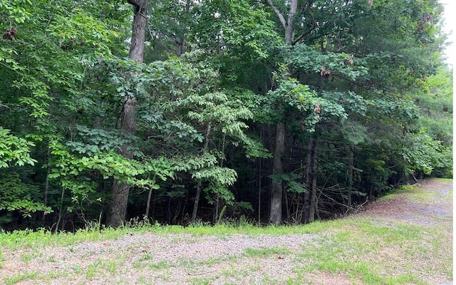 0 Maple Grove Rd, Morganton, GA 30560