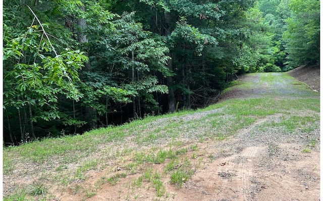 0 Maple Grove Rd, Morganton, GA 30560