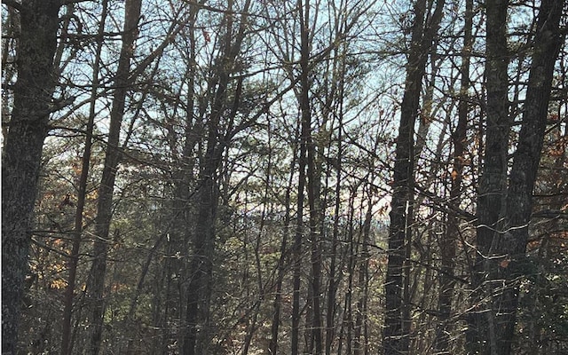 0 Maple Grove Rd, Morganton, GA 30560