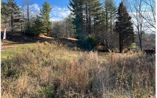 0 Maple Grove Rd, Morganton, GA 30560