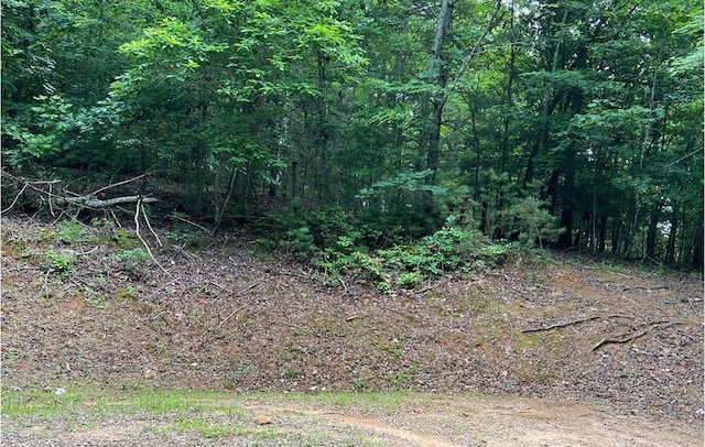 0 Maple Grove Rd, Morganton, GA 30560