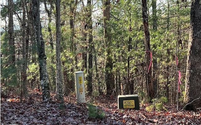 0 Maple Grove Rd, Morganton, GA 30560