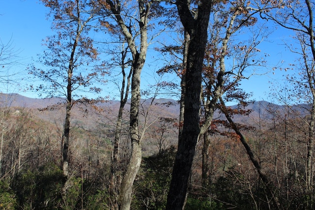 3 Gabriel Rdg, Hayesville, NC 28904