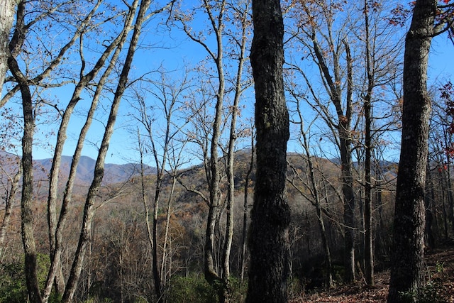 3 Gabriel Rdg, Hayesville, NC 28904