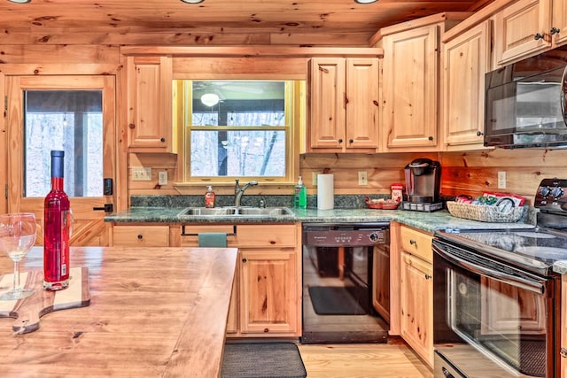 kitchen with black appliances, light hardwood / wood-style floors, sink, and a wealth of natural light