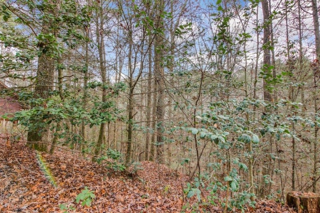 LOT2 Laurel Overlook Rd, Ellijay GA, 30540 land for sale