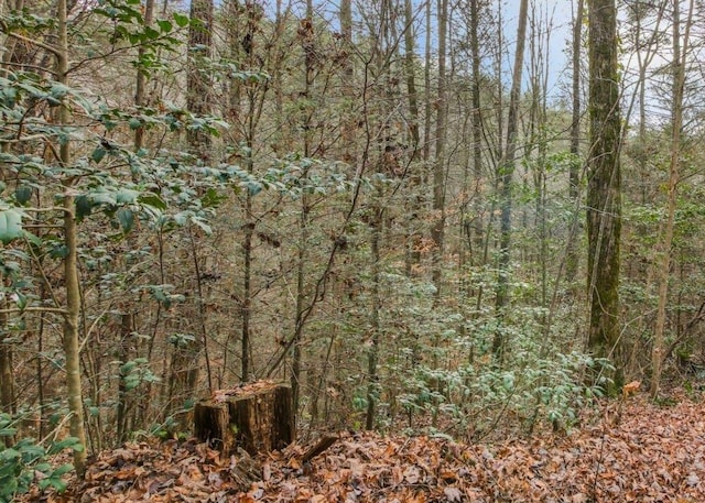 Listing photo 2 for LOT2 Laurel Overlook Rd, Ellijay GA 30540