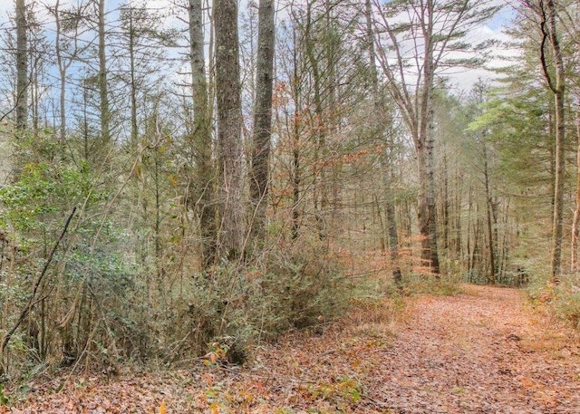 Listing photo 3 for LOT2 Laurel Overlook Rd, Ellijay GA 30540