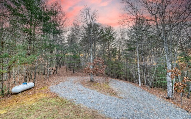 view of yard at dusk