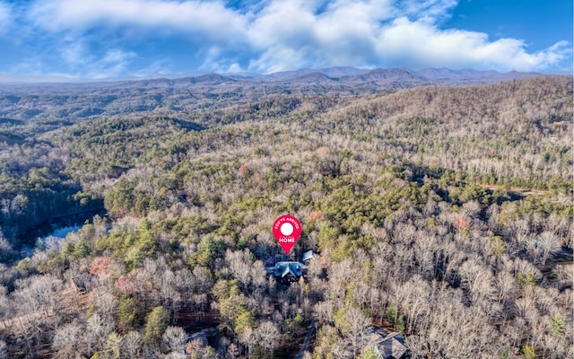 birds eye view of property featuring a mountain view