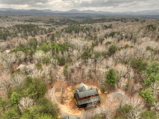 drone / aerial view with a mountain view