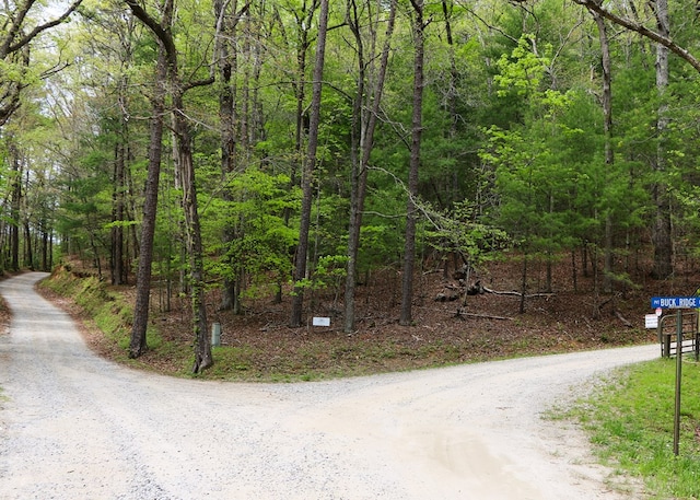 view of road