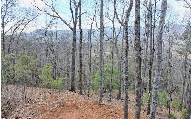 LT17 Mill Ridge Rd, Hiawassee GA, 30546 land for sale