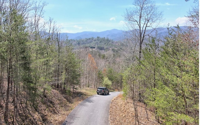 Listing photo 2 for LT17 Mill Ridge Rd, Hiawassee GA 30546