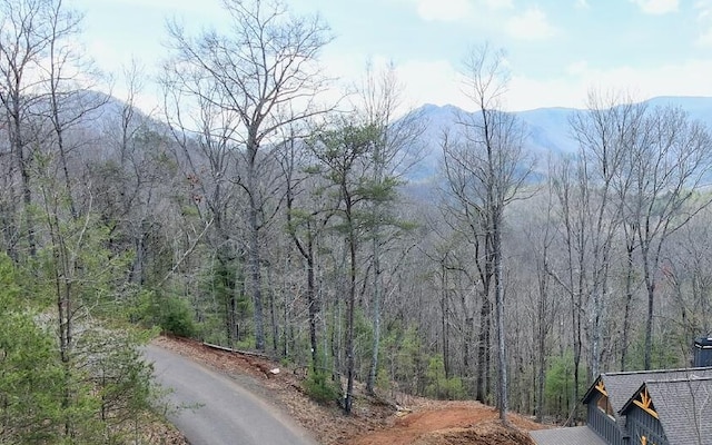 Listing photo 3 for LT17 Mill Ridge Rd, Hiawassee GA 30546