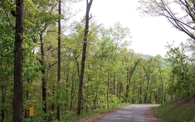 Listing photo 3 for 6 Thunder Rd, Hayesville NC 28904