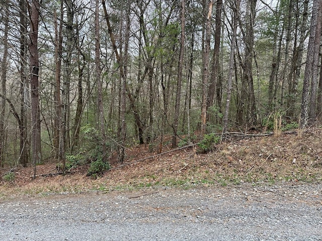 Listing photo 2 for 0 Abbey Ct, Ellijay GA 30540