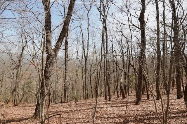 820 Falcon Ln, Jasper, GA 30143
