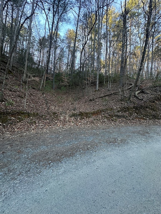 Listing photo 3 for 3.49AC River Bend Rd, Ellijay GA 30540