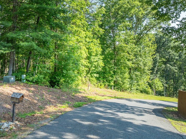 Listing photo 3 for LOT34 Winfield Cir, Blue Ridge GA 30513