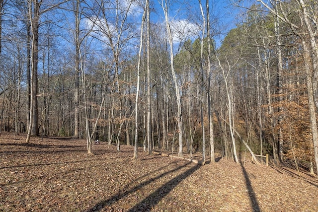 view of local wilderness